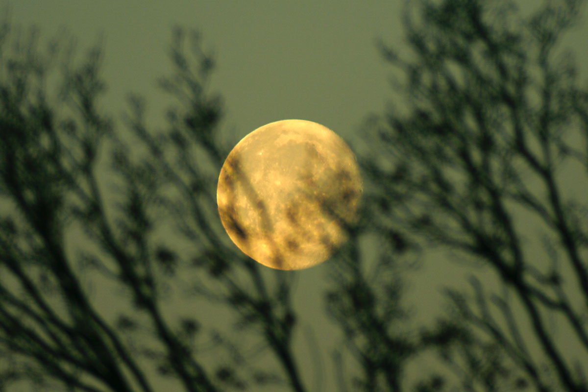 11. Januar 2012: Mond bei Sonnenaufgang