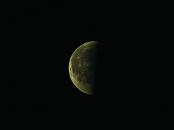 16. Januar 2012: abnehmender Mond am Morgen