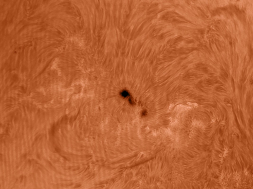 15. Mai 2013: Sonne AR1745 in h-alpha