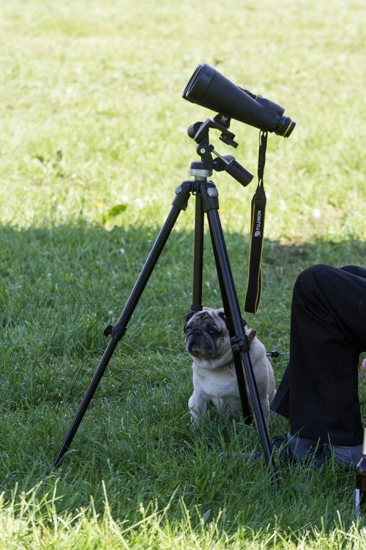 ITV 2015: Teleskop-Mops