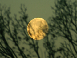 11. Januar 2012: Mond bei Sonnenaufgang