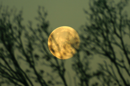 11. Januar 2012: Mond bei Sonnenaufgang