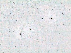 C/2013 US10 Catalina Negativbild