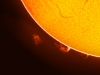 12. Februar 2012 Gesamt-Sonne H-Alpha
