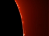 29. Februar 2012 - Protuberanzen