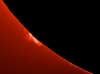 29. Februar 2012 - Protuberanzen