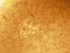 9. März 2012 - H-Alpha AR 1429