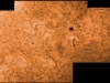 28. März 2012 h-alpha AR 1445