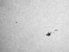 25.01.2016 AR 2488-2487 Weißlicht