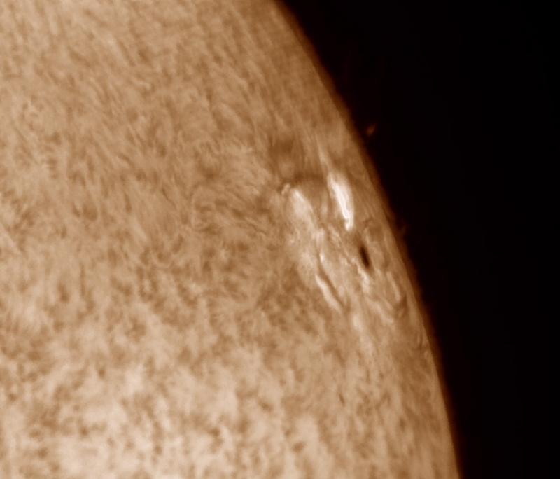 7. März 2015: AR2297 in h-alpha