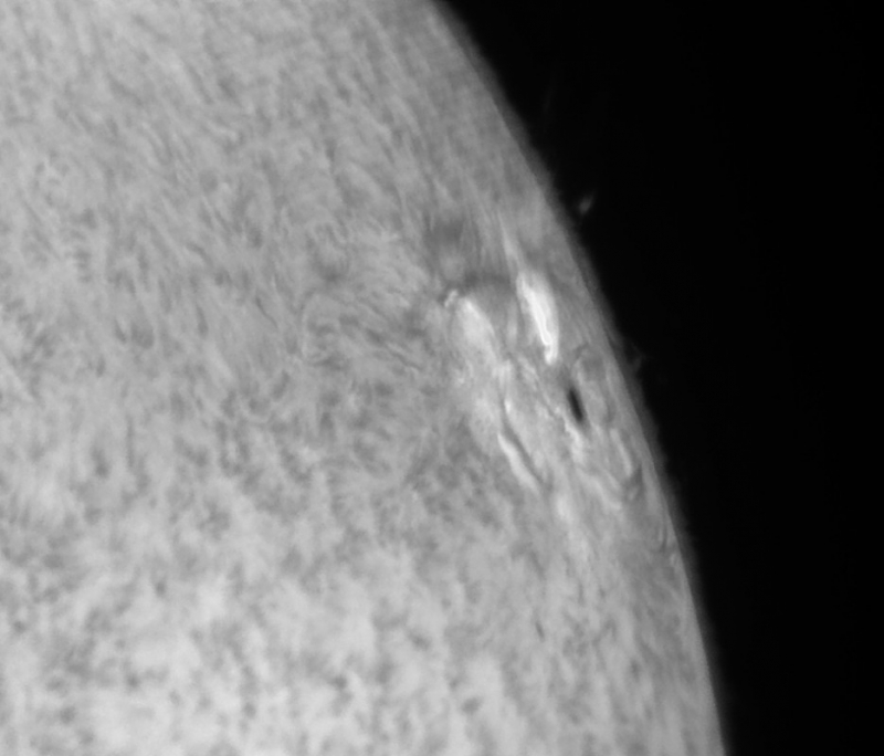 7. März 2015: AR2297 in h-alpha sw