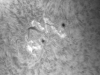 14. Mai 2012 AR 1477/78 H-Alpha