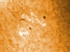 14. Mai 2012 AR 1477/78 H-Alpha