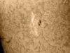20. Mai 2012 AR 11486 h-Alpha