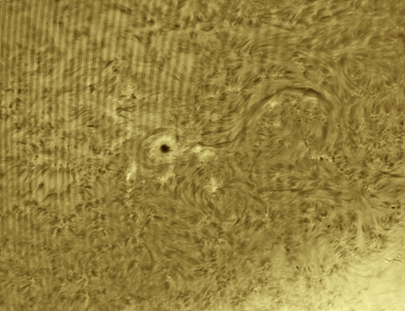 14. April 2013: AR1719 in H-Alpha