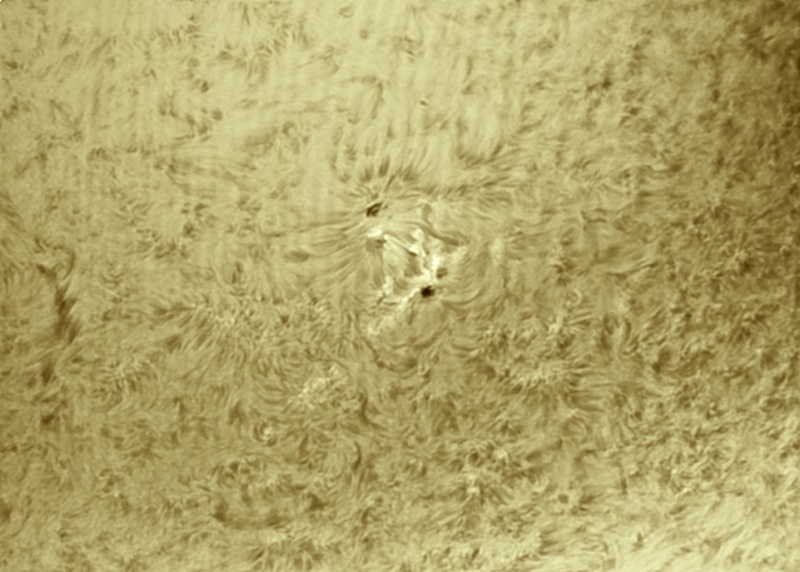 14. April 2013: AR1723 in H-Alpha