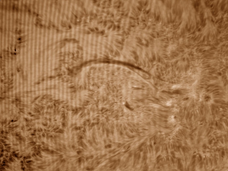 28. Mai 2013: Filament