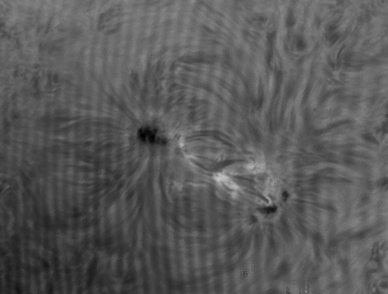 07. Juni 2013: AR 1765 in H-alpha