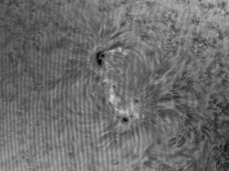 08. Juni 2013: AR 1765 in H-alpha