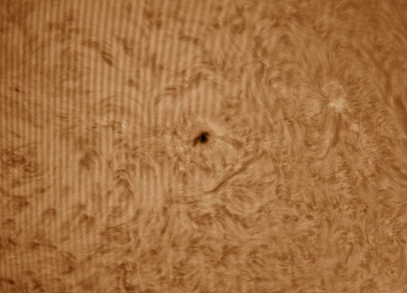 28. Mai 2013: Ar 1756 in H-Alpha