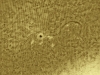 14. April 2013: AR1719 in H-Alpha