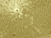 14. April 2013: AR1721-22 in H-Alpha