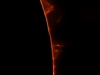 14. April 2013: Protuberanzen in H-Alpha
