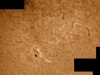 18. Juni 2013: AR 1770,1772,1774 und 1775 in H-Alpha