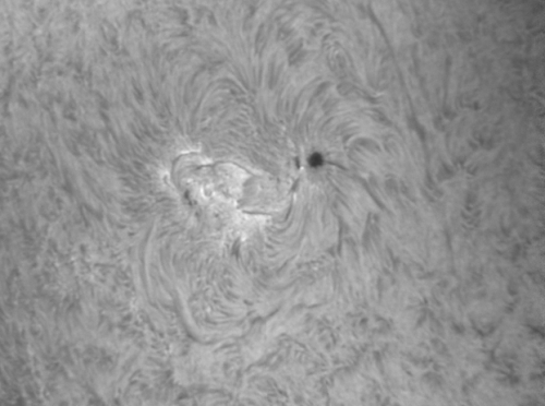 1. August 2012: AR 1535 H-alpha