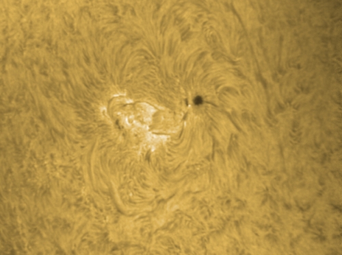 1. August 2012: AR 1535 H-alpha