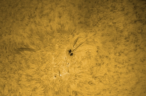 12. August 2012: H-Alpha AR 1543