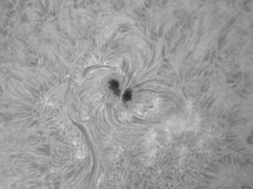 14. Augsut 2012: AR 1543 H-alpha