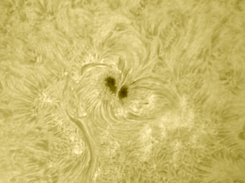 14. August 2012: AR 1543 H-alpha