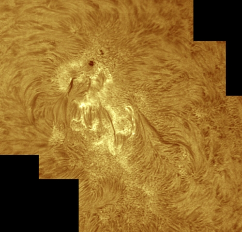 7. September 2012 AR1564 in h-alpha