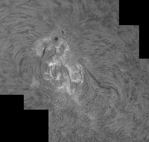 7. September 2012 AR1564 in h-alpha