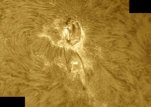 8. September 2012 AR1564 in h-alpha