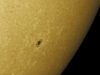 24. Juli 2012 Sonnenfleck AR 1528