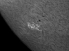 31. Juli 2012 H-Alpha AR 1535