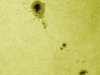 31. Juli 2012 Sonnenfleck AR1532