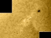 1. August 2012: AR 1532/36 H-alpha
