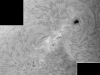 1. August 2012: AR 1532/36 H-alpha