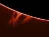 18. August 2012: Protuberanz H-Alpha