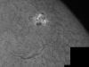 7. September 2012 AR1562 in h-alpha