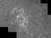 7. September 2012 AR1564 in h-alpha