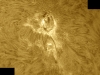 8. September 2012 AR1564 in h-alpha