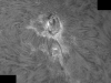 8. September 2012 AR1564 in h-alpha