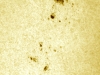 8. September 2012 AR1564 in Weißlicht