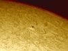 23. Januar 2013: H-Alpha AR 1658