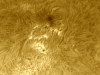 23. Januar 2013: H-Alpha AR 1660