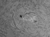 10. Februar 2013: H-alpha AR1670